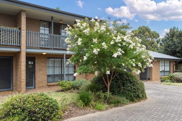 2/52 Maesbury St, SA 5068