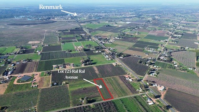 725/null Ral Ral  Avenue, SA 5341