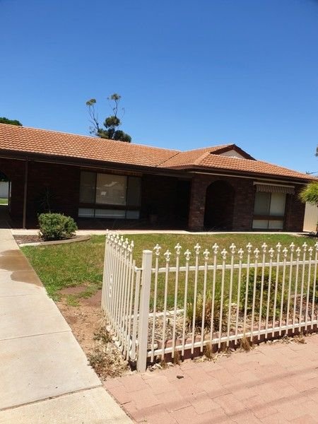 73 Murtho Street, SA 5341