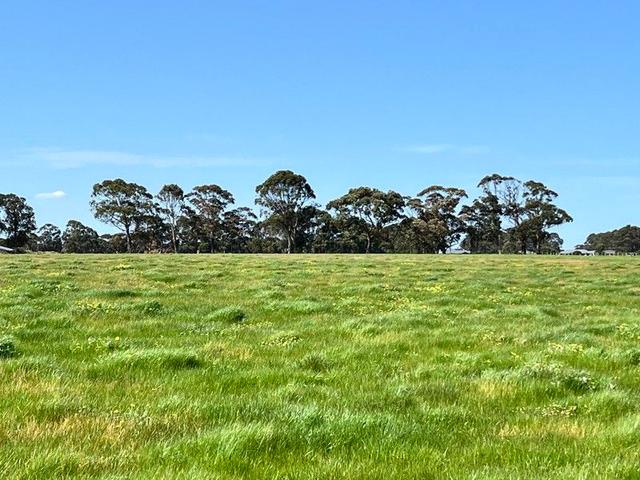 246/null Stage 2 - Albany Views Private Estate - Albany Views Private Estate, Drome, WA 6330