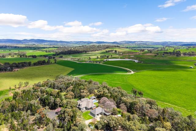 124 Snakes Creek Road, NSW 2850