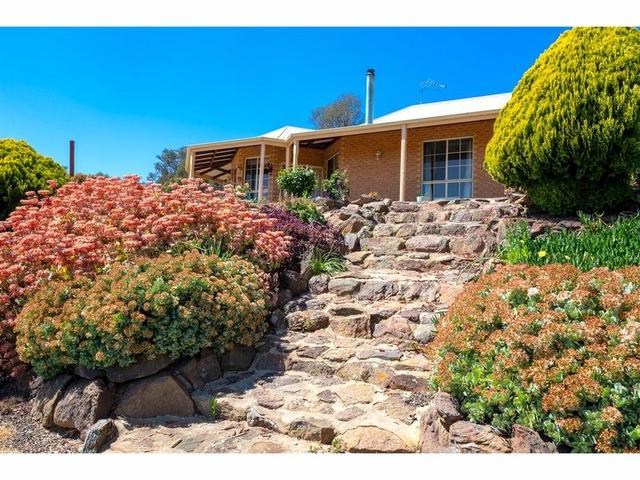 81 Bonnie Springs Road, NSW 2642