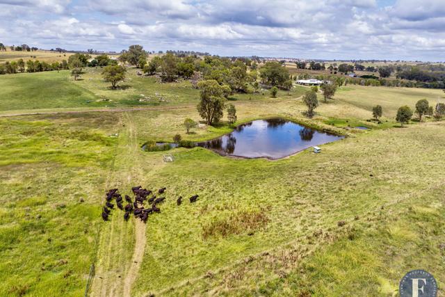 87 McBeths Road, NSW 2594