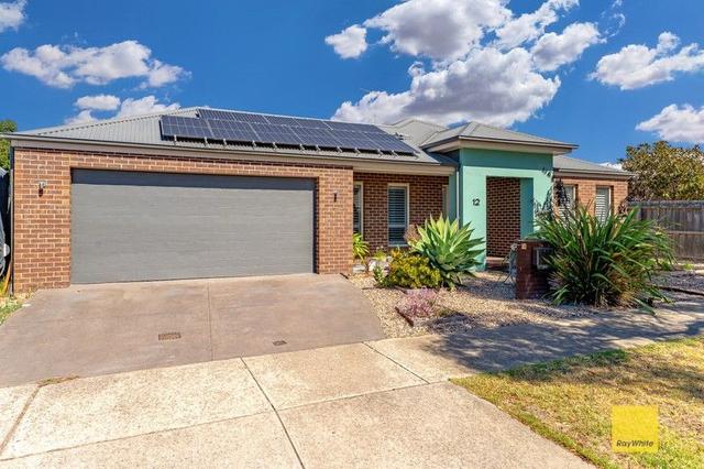 12 Muscovy Drive, VIC 3216