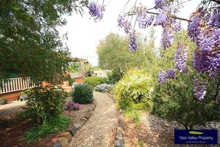 Garden (2011-10-14)