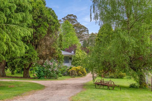 1205 Sunny Corner Road, NSW 2795