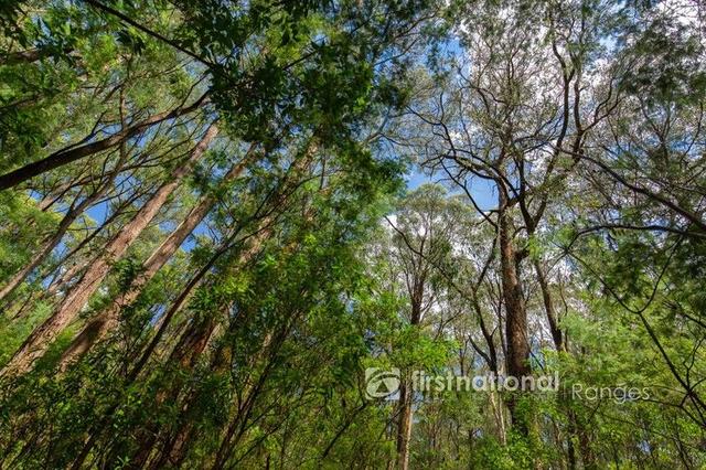 2780 Gembrook-Launching Place Road, VIC 3783
