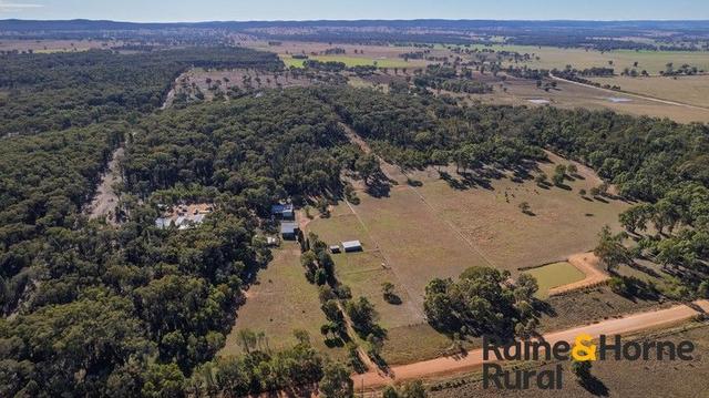502 Patrick Road, NSW 2844