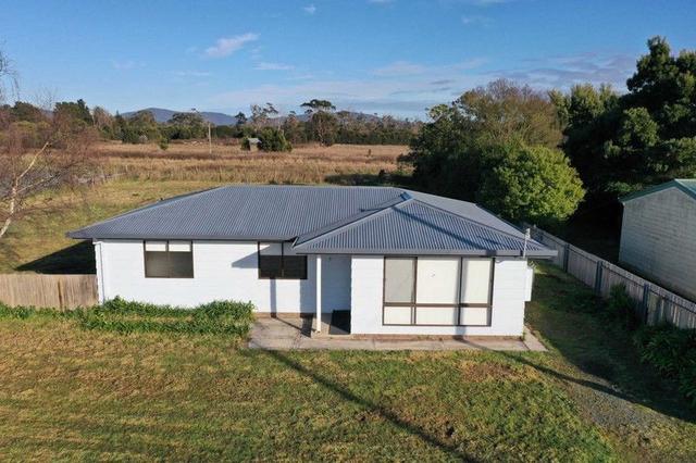203 Mainwaring Street, TAS 7270
