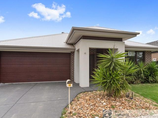 12 Rhynhurst Street, VIC 3978