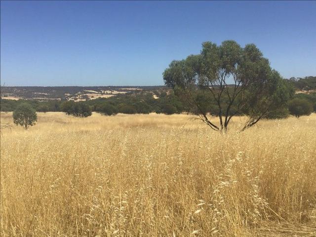 Lot 130/null Charlton Boulevard, Coondle, WA 6566