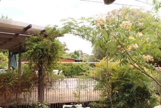 Garden (2012-01-26)