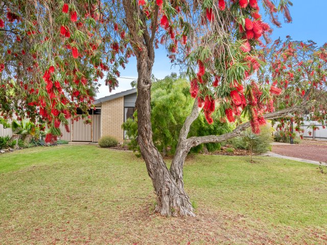 14 William Street, NSW 2713