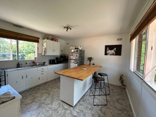 Kitchen - with island bench
