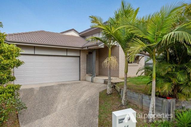 11 Daintree Place, QLD 4300