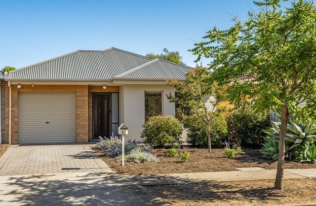 27 Duncan  Avenue, SA 5043