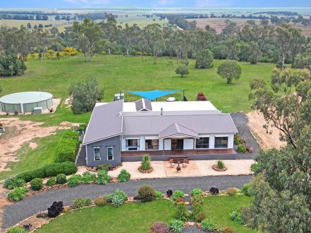 'Taryndoon' 481 Quia Station Road, NSW 2380
