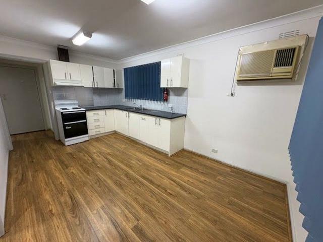 2 Little Ada St, NSW 2166