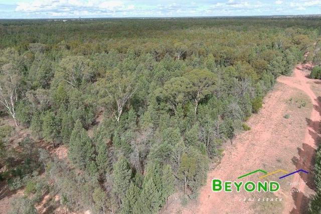 31 Aralee Rd, NSW 2827