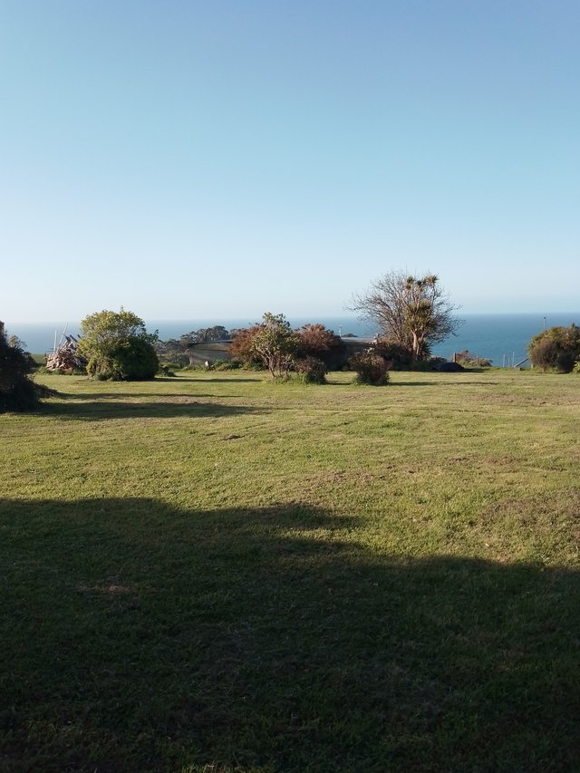 12 Strawberry Lane, TAS 7321