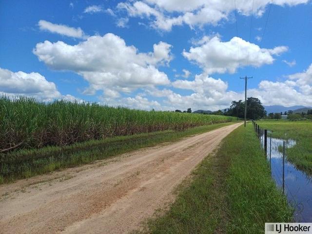 262870 Gibbs Road, QLD 4854