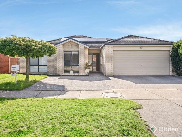 3 Clifton Grove, VIC 3201