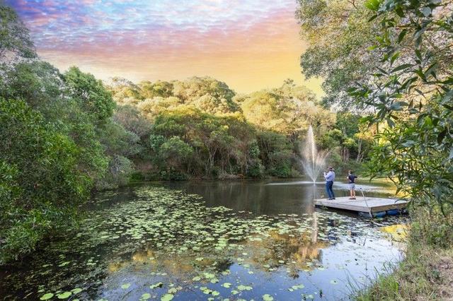 18 Brush Box Lane, QLD 4568