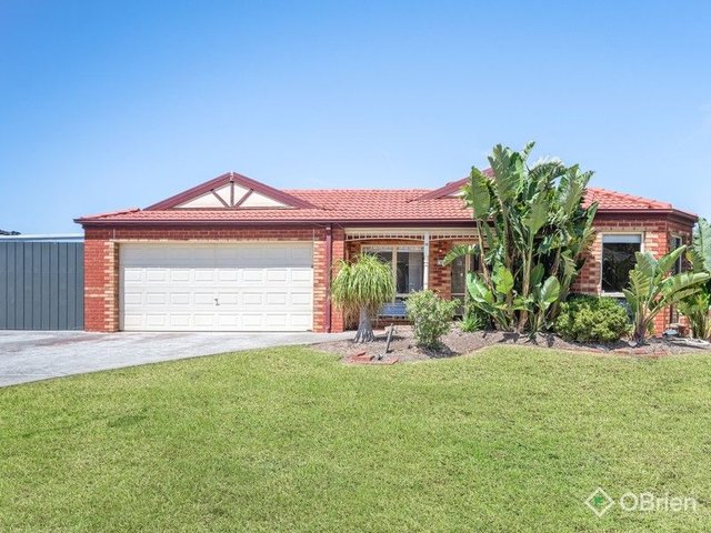 12 Sandalwood Grove, VIC 3201