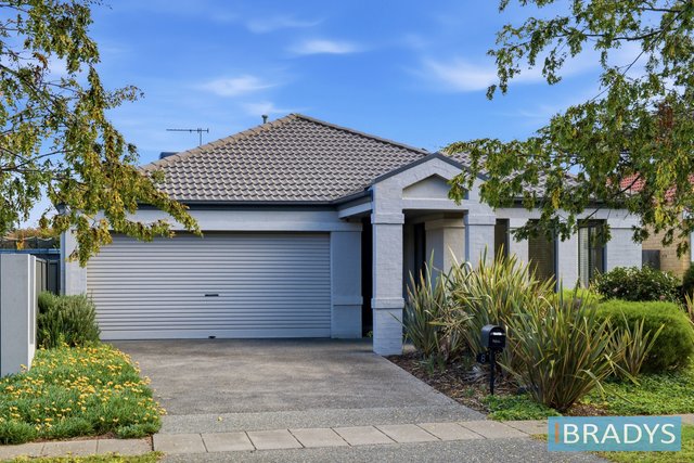 8 Cape York Street, ACT 2914
