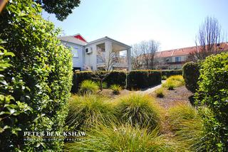 Rear View through Common Gardens (2016-09-08)