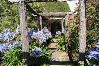 Pergola (2011-01-19)