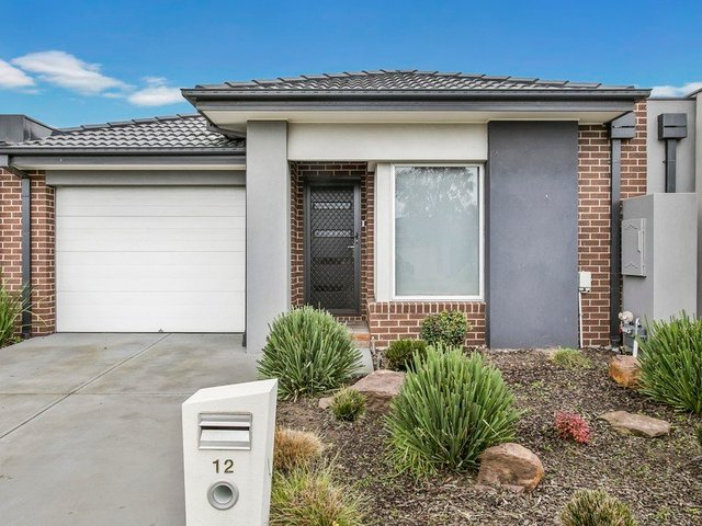 12 Artfield Street, VIC 3977