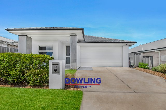 12 Kingaroy Street, NSW 2318