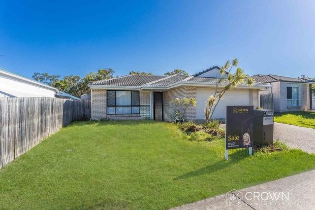 17 Eugenia Avenue, QLD 4022