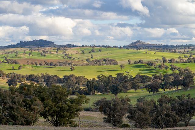 1507 Pine Mount Road, NSW 2793