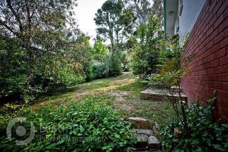 Backyard (2016-11-02)