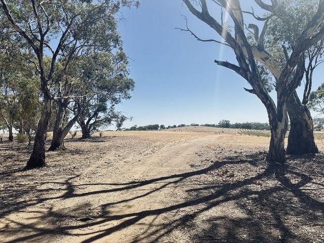 Lot 20 MacDonald Rd, SA 5453