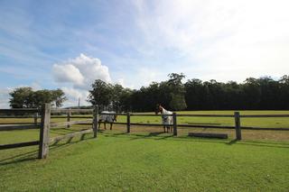 Hobby Farm Acres