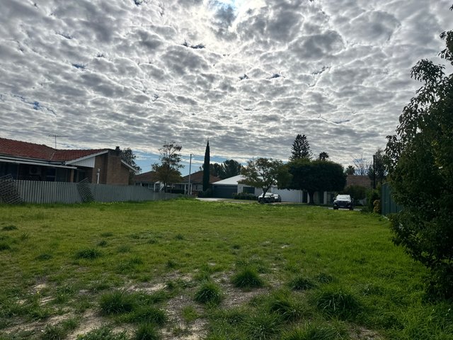 160 Knutsford Avenue, WA 6103