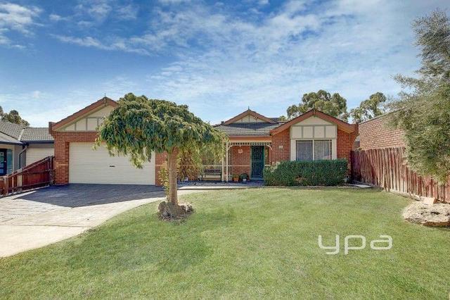 24 Wilkinson Court, VIC 3064