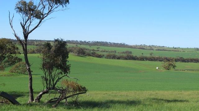 Wongamine Goomalling-Toodyay Road, WA 6460