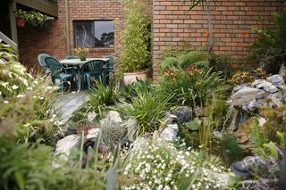 Garden (2012-08-15)
