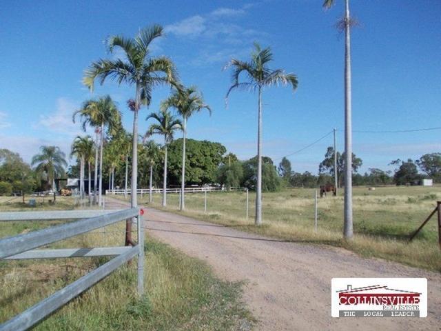 8270 Collinsville Mount Douglas Road, QLD 4804