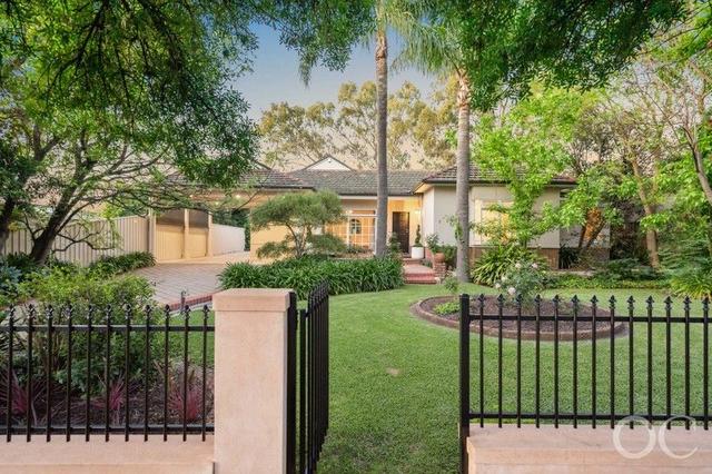 3 Hextall Avenue, SA 5073
