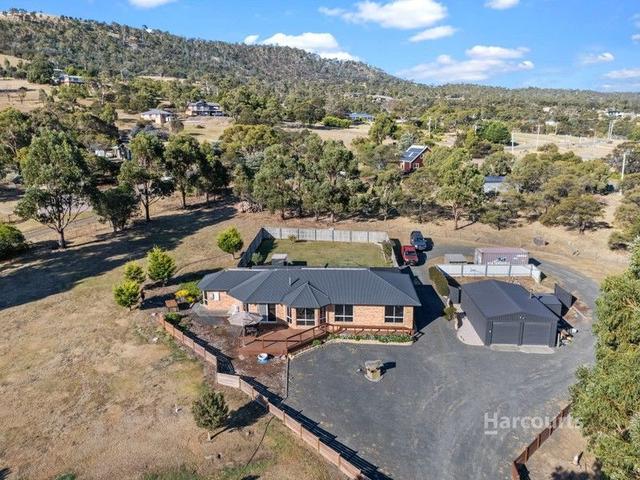 435 Briggs Road, TAS 7030