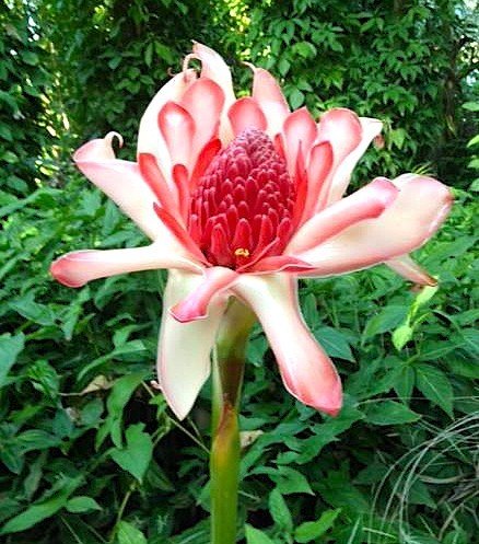 (no street name provided), NT 0822