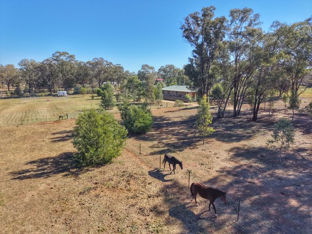 177 Camp Road, NSW 2794