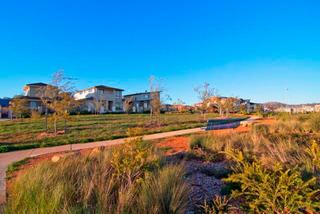 Overlooking parkland