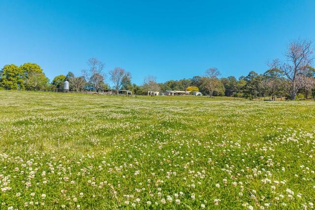 102 Fishers Ridge Rd, NSW 2446