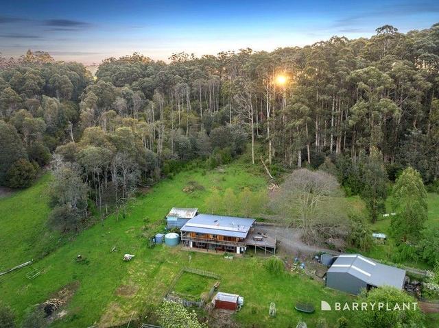 20 Rymers  Road, VIC 3797